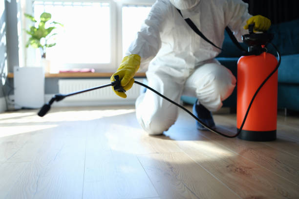 Best Local Pest Control Services  in Vero Lake Estates, FL