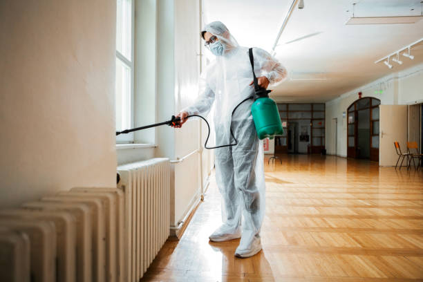Reliable Vero Lake Estates, FL Pest Control Solutions